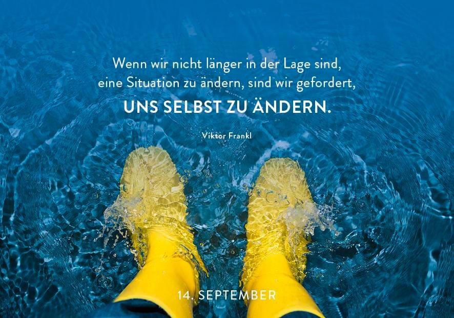 Bild: 9783629009838 | 365 mal Gelassenheit | Pattloch Verlag | Kalender | 384 S. | Deutsch