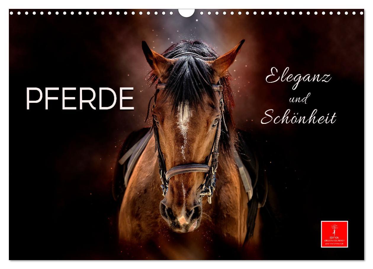 Cover: 9783435293827 | Eleganz und Schönheit - Pferde (Wandkalender 2025 DIN A3 quer),...