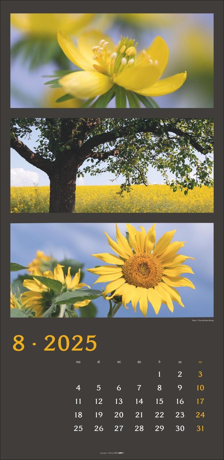 Bild: 9783839900635 | Die Farben der Natur Kalender 2025 | Kalender | Spiralbindung | 14 S.