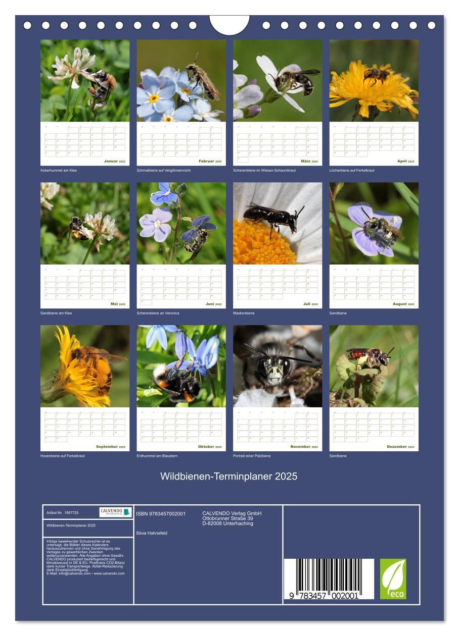 Bild: 9783457002001 | Wildbienen-Terminplaner 2025 (Wandkalender 2025 DIN A4 hoch),...