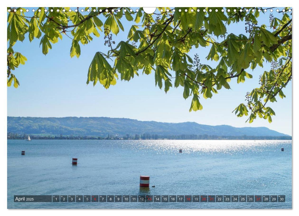 Bild: 9783435567591 | Bodensee Träume (Wandkalender 2025 DIN A3 quer), CALVENDO...