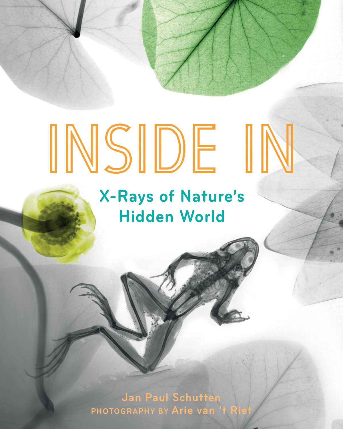 Cover: 9781771646796 | Inside in | X-Rays of Nature's Hidden World | Jan Paul Schutten | Buch