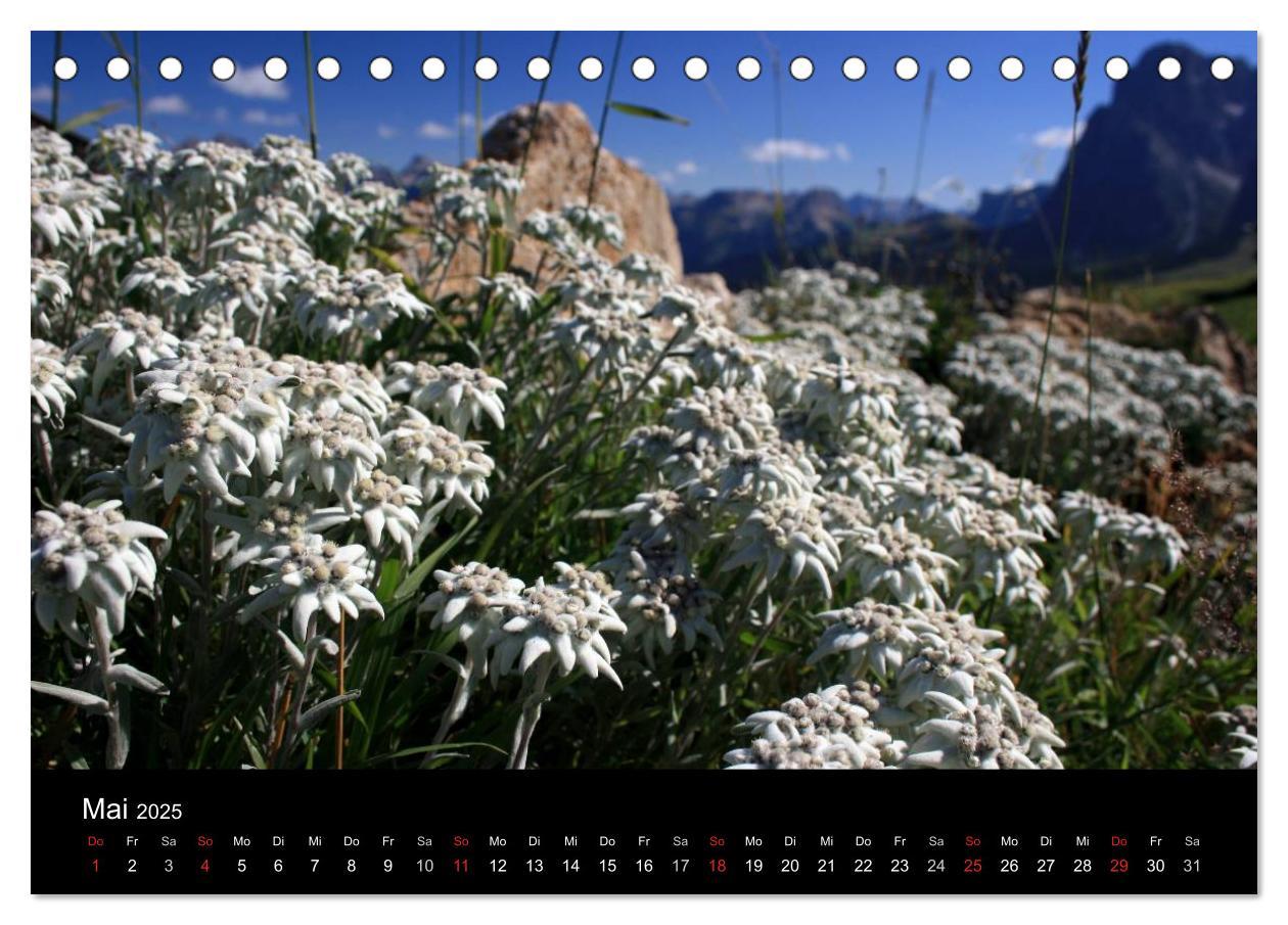 Bild: 9783435472802 | Alpe di Siusi - Seiser Alm (Tischkalender 2025 DIN A5 quer),...