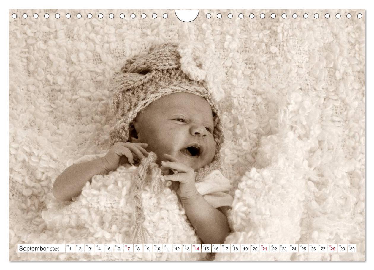 Bild: 9783435707362 | Babys - Willkommen im Leben (Wandkalender 2025 DIN A4 quer),...