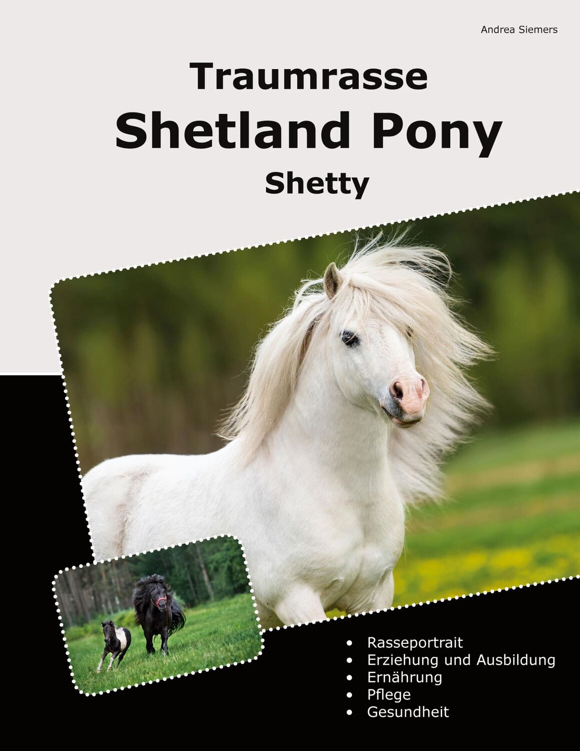 Cover: 9783769305388 | Traumrasse Shetland Pony | Shetty | Andrea Siemers | Taschenbuch