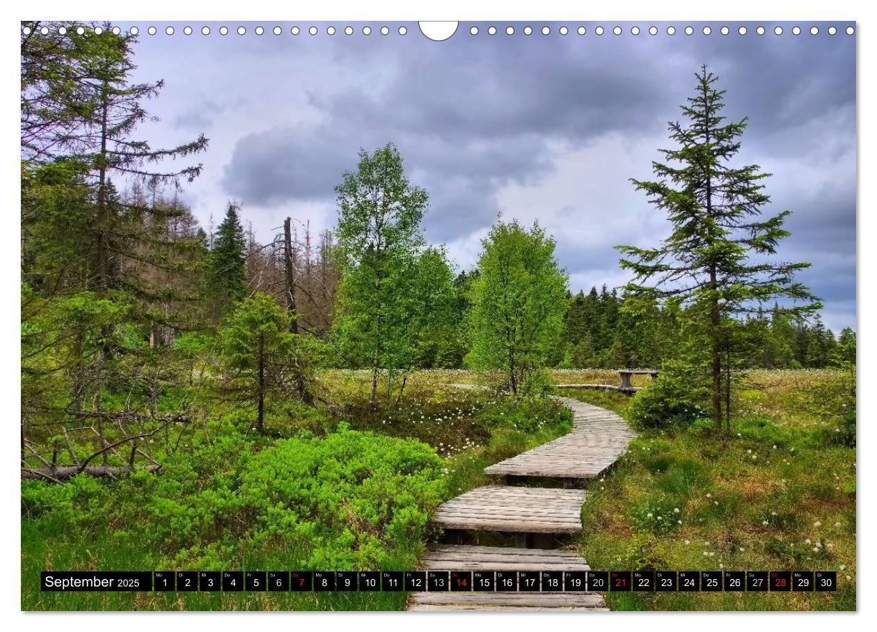 Bild: 9783435515929 | Der Harz - Schönstes Mittelgebirge Deutschlands (Wandkalender 2025...