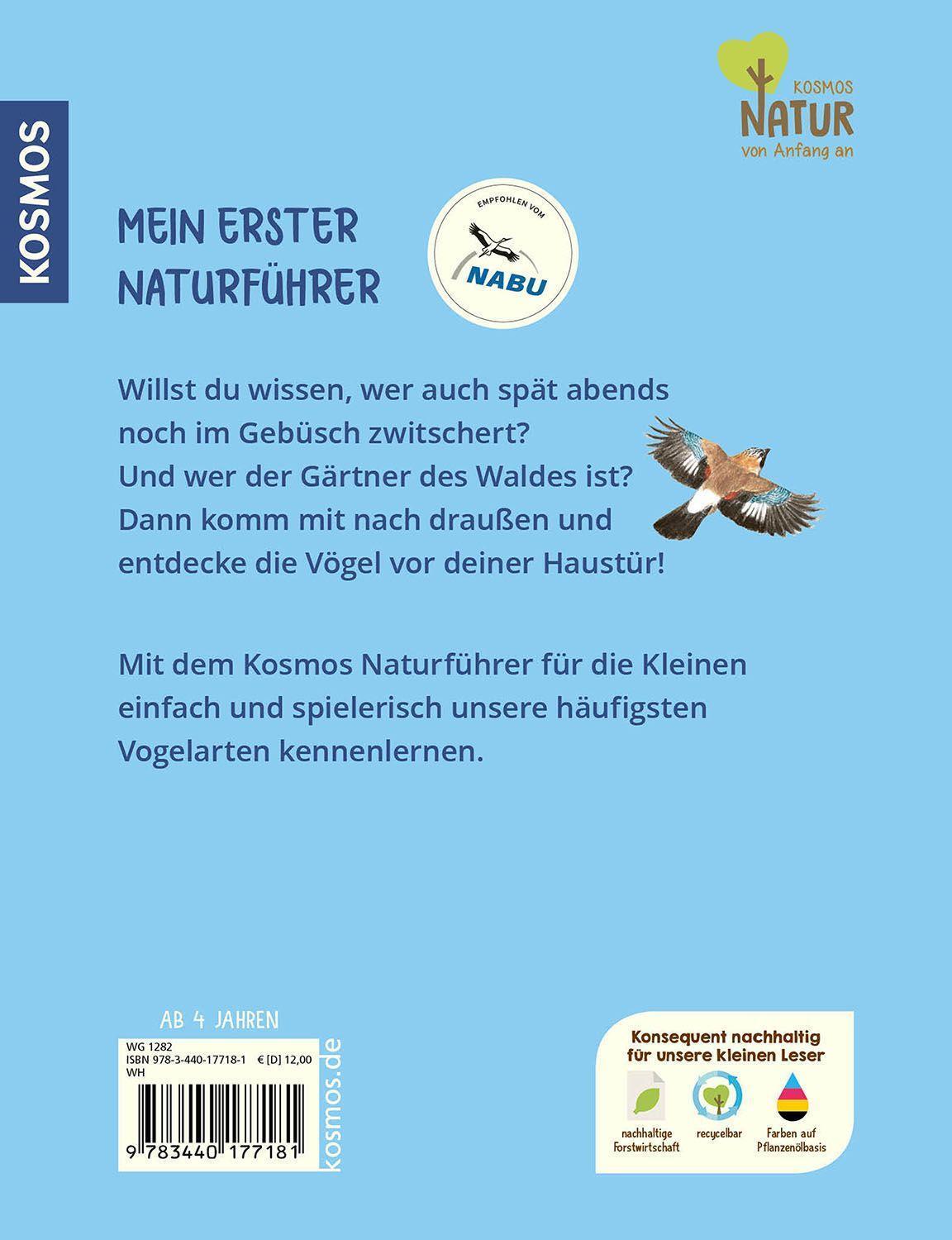 Bild: 9783440177181 | Mein erster Naturführer, Was fliegt denn da? | Lea Hille | Buch | 2023