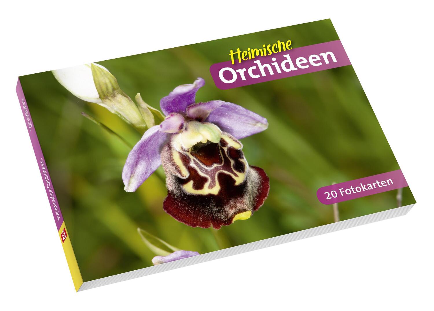 Cover: 4260098550467 | Heimische Orchideen | 20 Fotokarten | Quelle &amp; Meyer Verlag | Buch