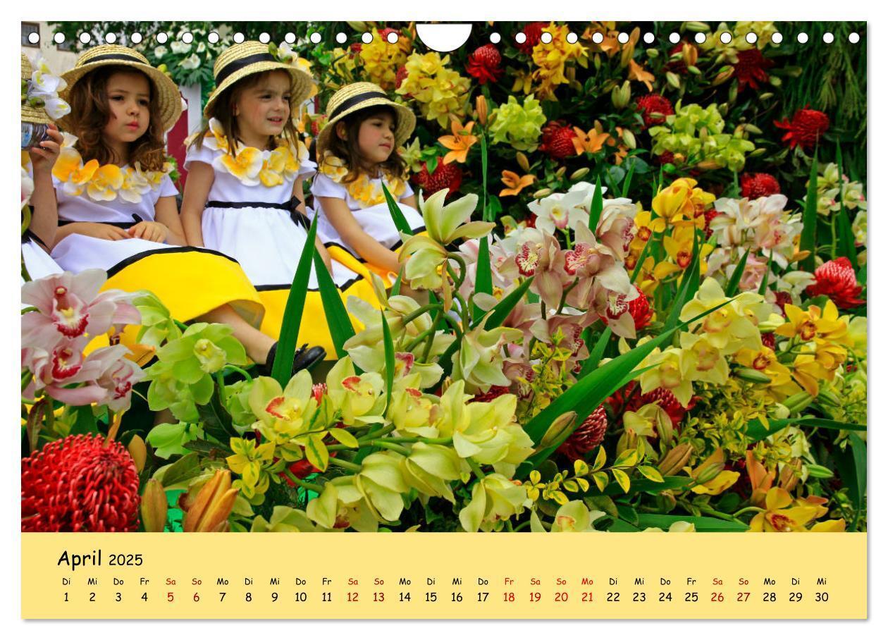 Bild: 9783435457687 | Blumenfest auf Madeira (Wandkalender 2025 DIN A4 quer), CALVENDO...