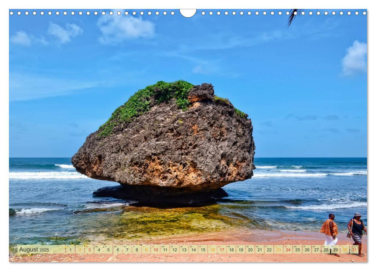 Bild: 9783435451623 | Die kleinen Antillen - Barbados (Wandkalender 2025 DIN A3 quer),...