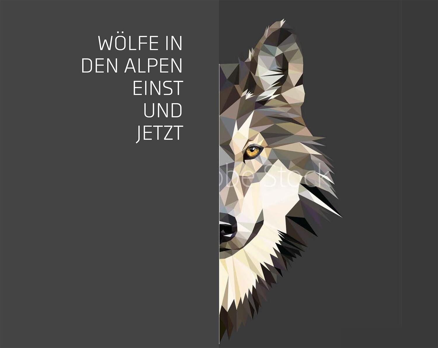 Bild: 9788868395698 | Der Wolf im Visier - Konflikte und Lösungsansätze | Buch | 352 S.