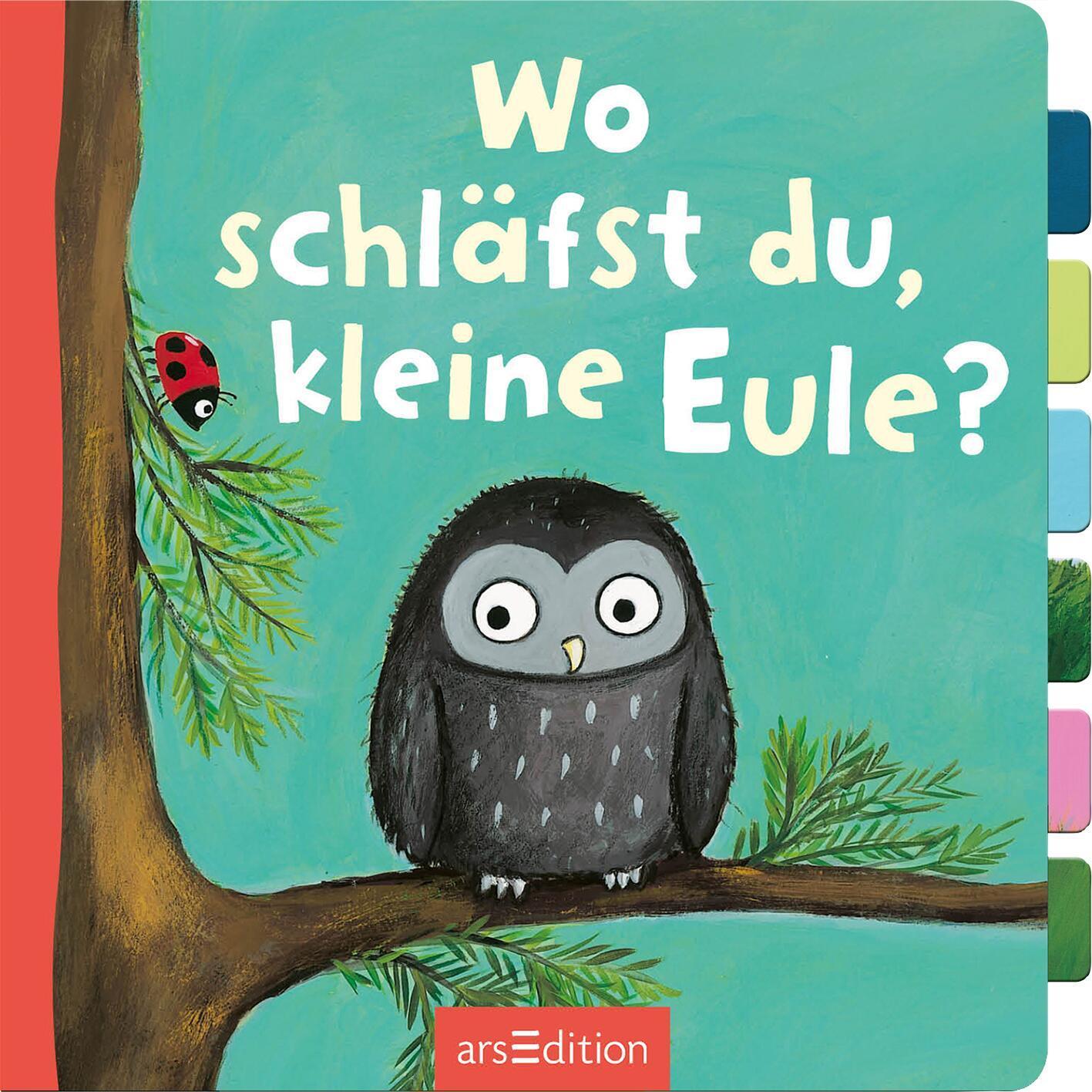 Bild: 9783845857664 | Wo schläfst du, kleine Eule? | Buch | Pappebuch mit Klappen | 14 S.