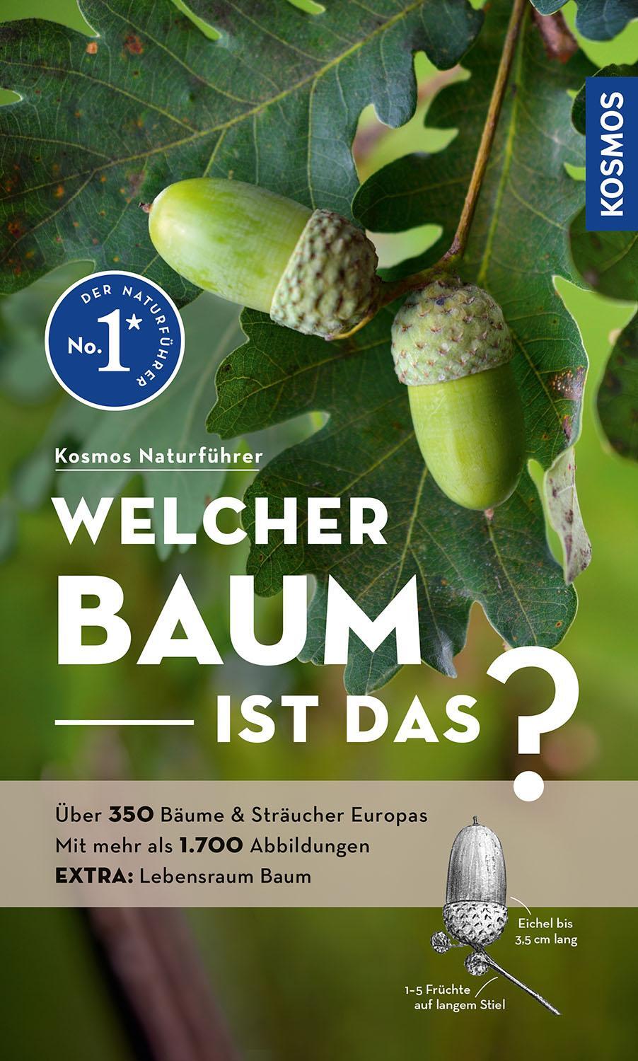 Cover: 9783440180013 | Welcher Baum ist das? | Margot Spohn (u. a.) | Taschenbuch | 272 S.