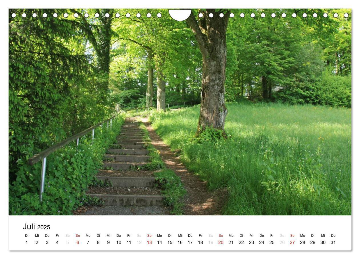 Bild: 9783435602643 | Der Ebersberger Forst und seine Umgebung (Wandkalender 2025 DIN A4...