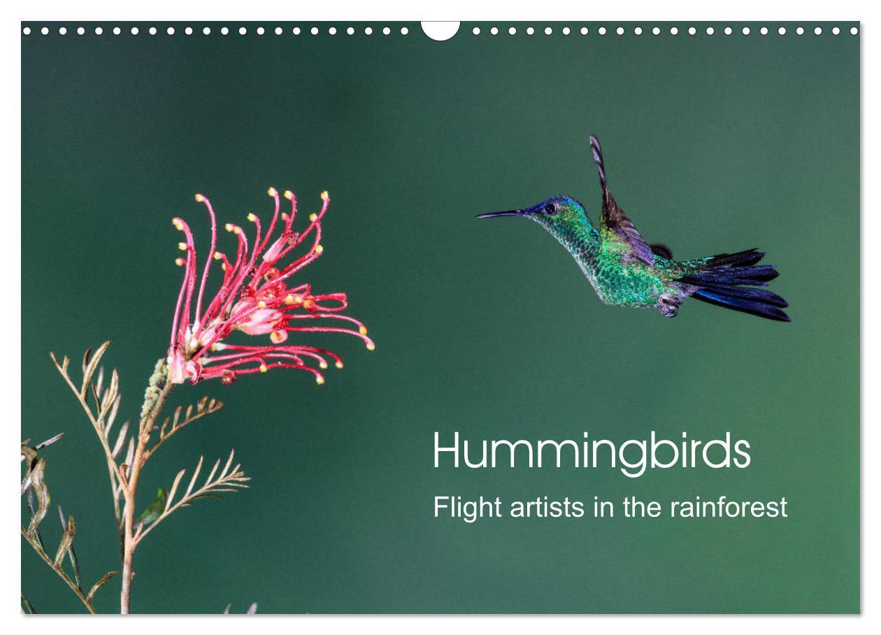 Cover: 9781325938438 | Hummingbirds - Flight artists in the rainforest (Wall Calendar 2025...