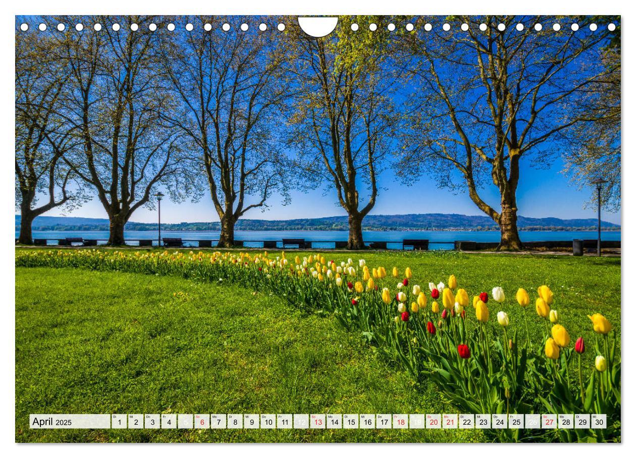 Bild: 9783435306756 | Auszeit Bodensee (Wandkalender 2025 DIN A4 quer), CALVENDO...