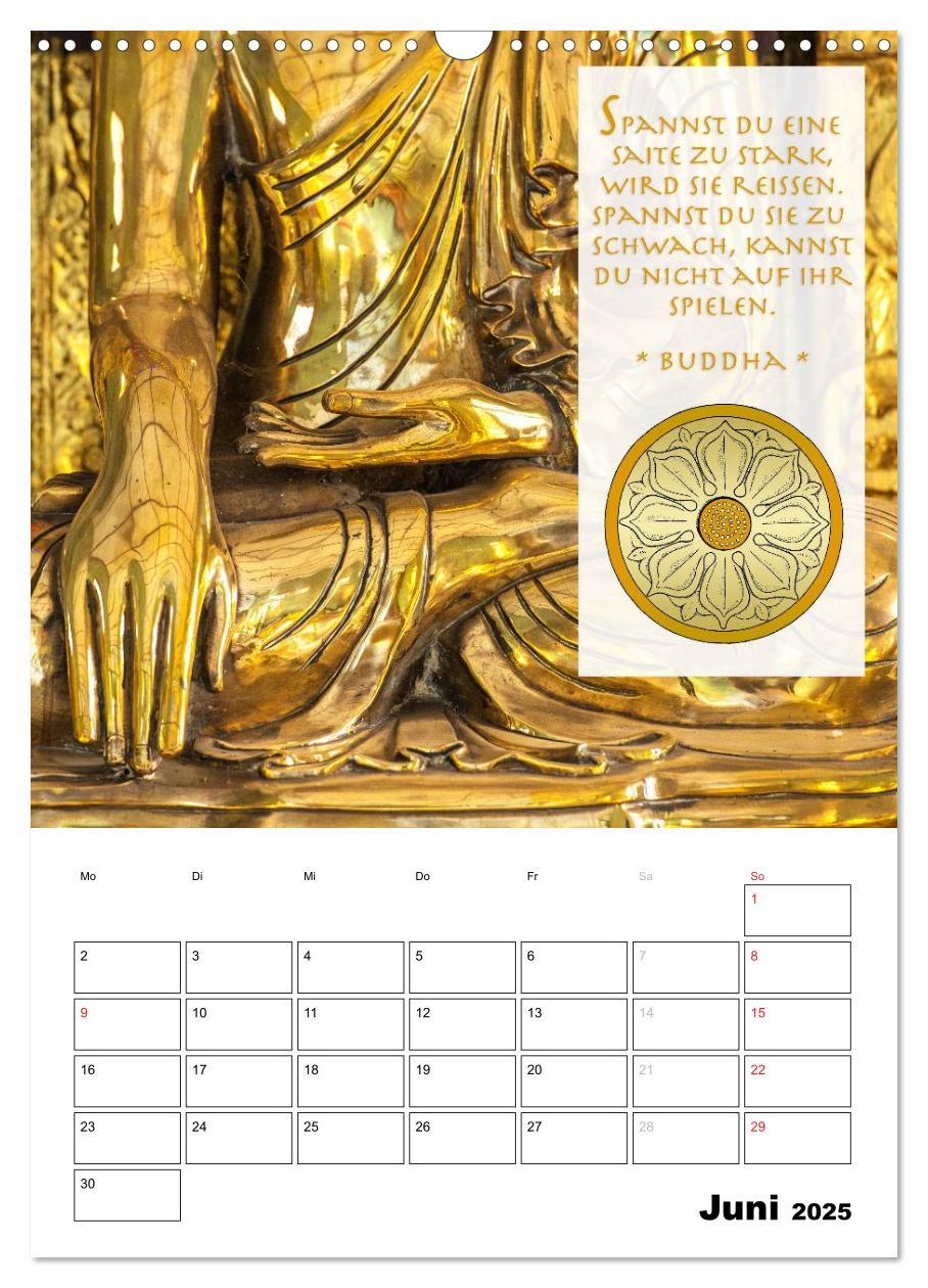 Bild: 9783457013021 | BUDDHAS ZITATE Buddhistische Weisheiten (Wandkalender 2025 DIN A3...