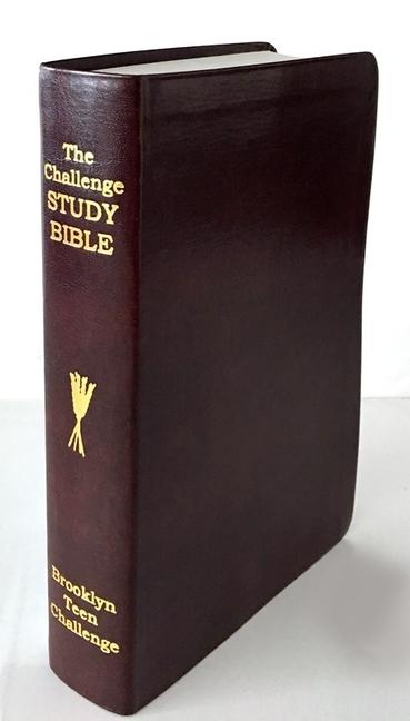 Cover: 9781610364102 | CEV Challenge Study Bible-Flexi Cover | Don Wilkerson | Buch | 2019