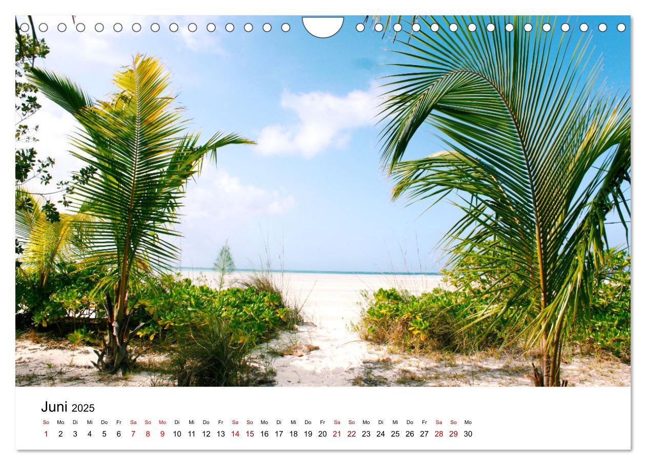 Bild: 9783383998348 | Bahamas - Paradiesische Strände. (Wandkalender 2025 DIN A4 quer),...