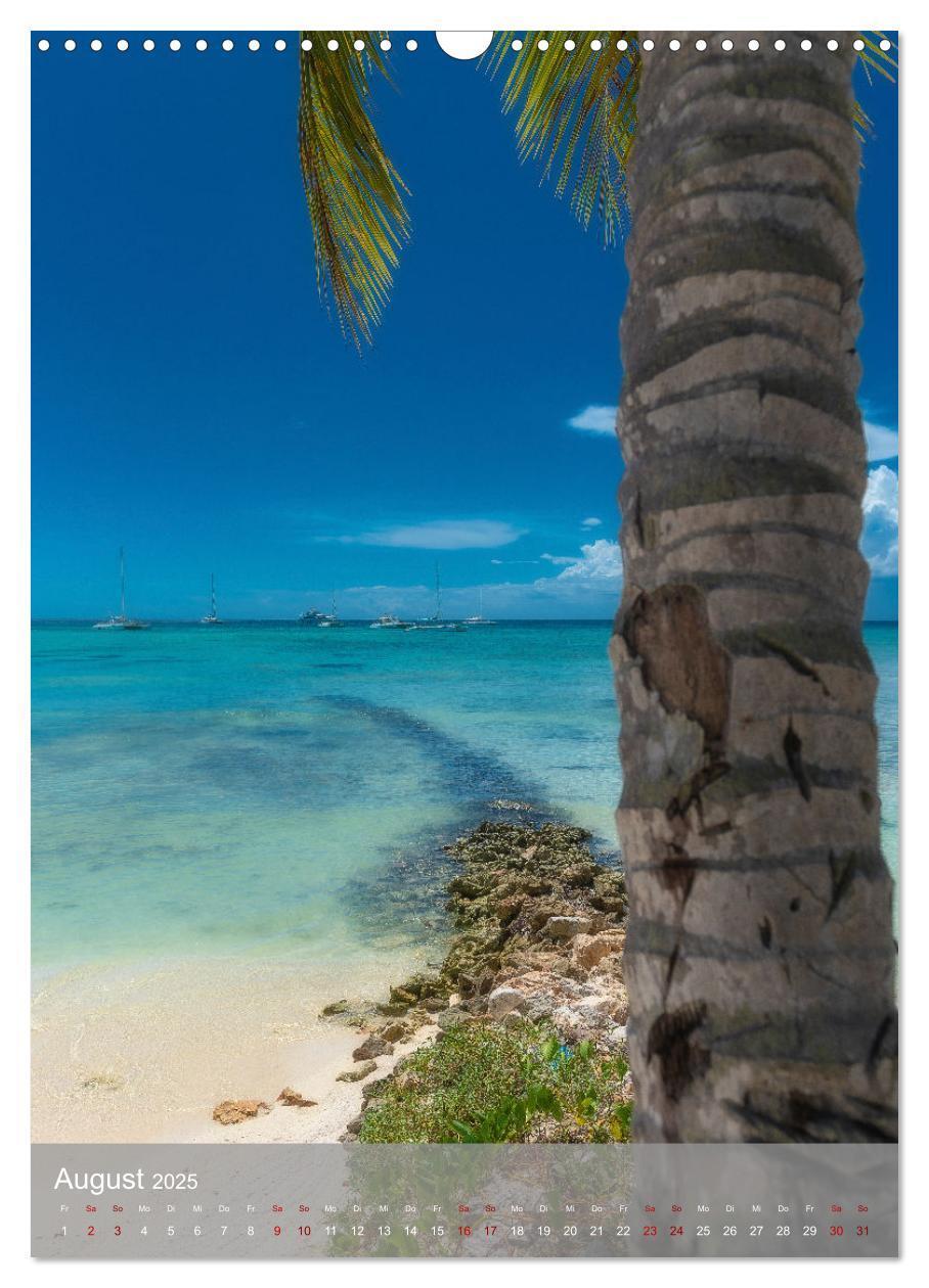 Bild: 9783435916153 | Karibischer Traum Isla Saona (Wandkalender 2025 DIN A3 hoch),...