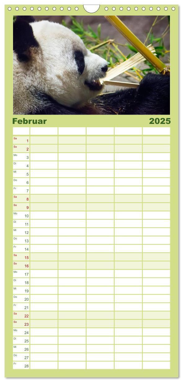 Bild: 9783457116166 | Familienplaner 2025 - Niedlicher Panda mit 5 Spalten (Wandkalender,...