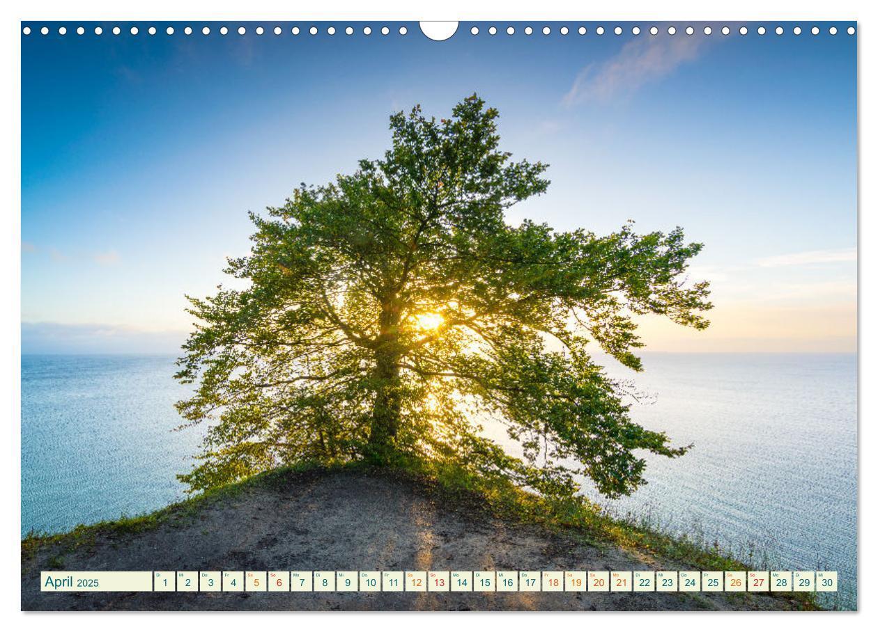 Bild: 9783383831959 | Insel Rügen - Malerische Kreideküste (Wandkalender 2025 DIN A3...