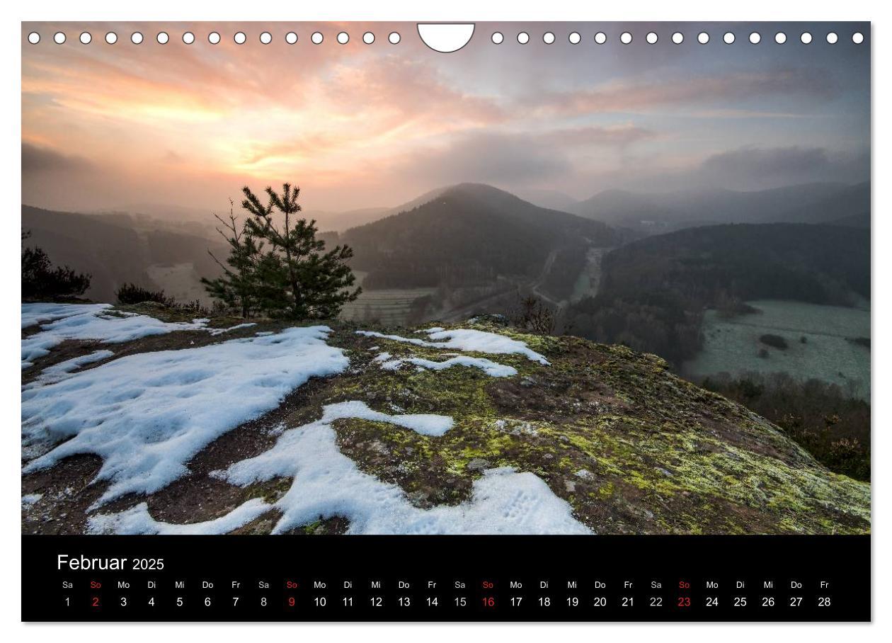 Bild: 9783435592883 | Mystischer Pfälzer Wald (Wandkalender 2025 DIN A4 quer), CALVENDO...