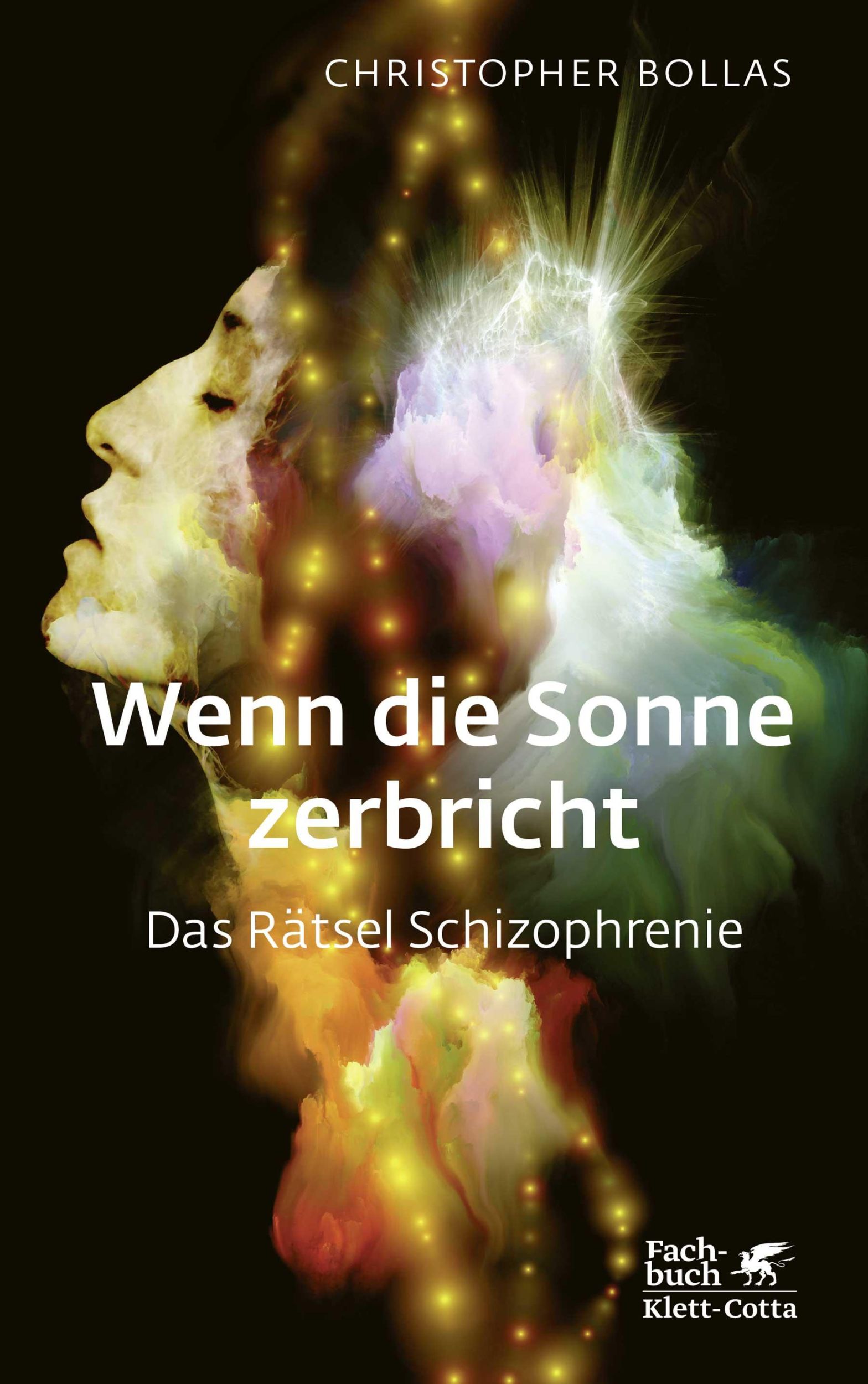 Cover: 9783608981513 | Wenn die Sonne zerbricht | Das Rätsel Schizophrenie | Bollas | Buch