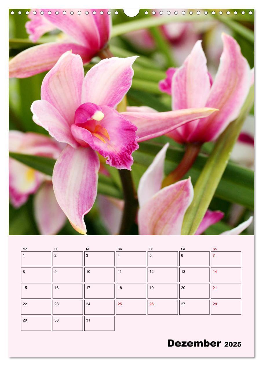 Bild: 9783435970902 | Orchideenliebe (Wandkalender 2025 DIN A3 hoch), CALVENDO...