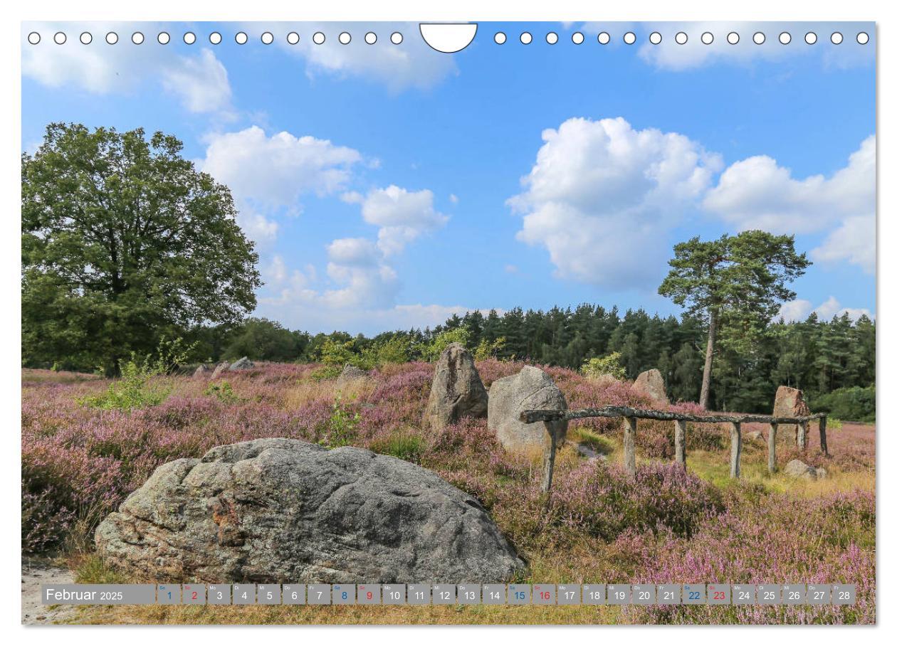 Bild: 9783435458776 | Lüneburger Heide - Faszinierend schön (Wandkalender 2025 DIN A4...