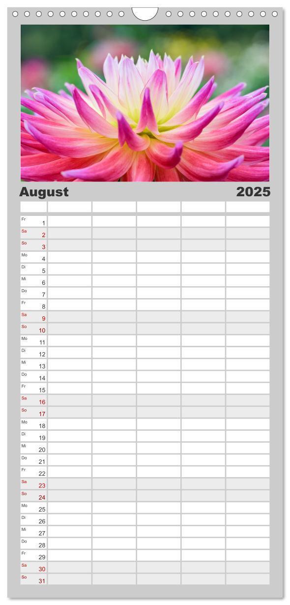 Bild: 9783457100066 | Familienplaner 2025 - Dahlien-Kronen mit 5 Spalten (Wandkalender,...