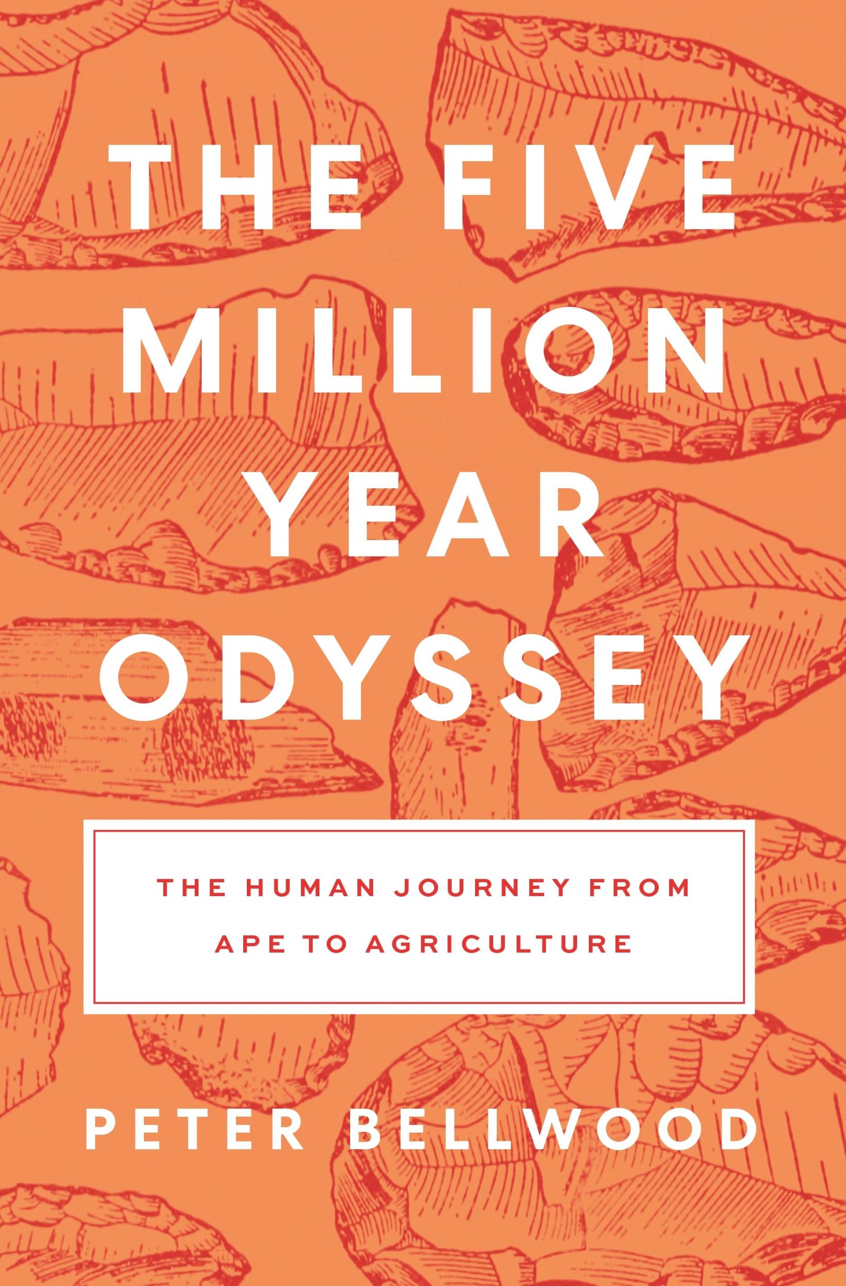 Cover: 9780691258812 | The Five-Million-Year Odyssey | Peter Bellwood | Taschenbuch | 2024