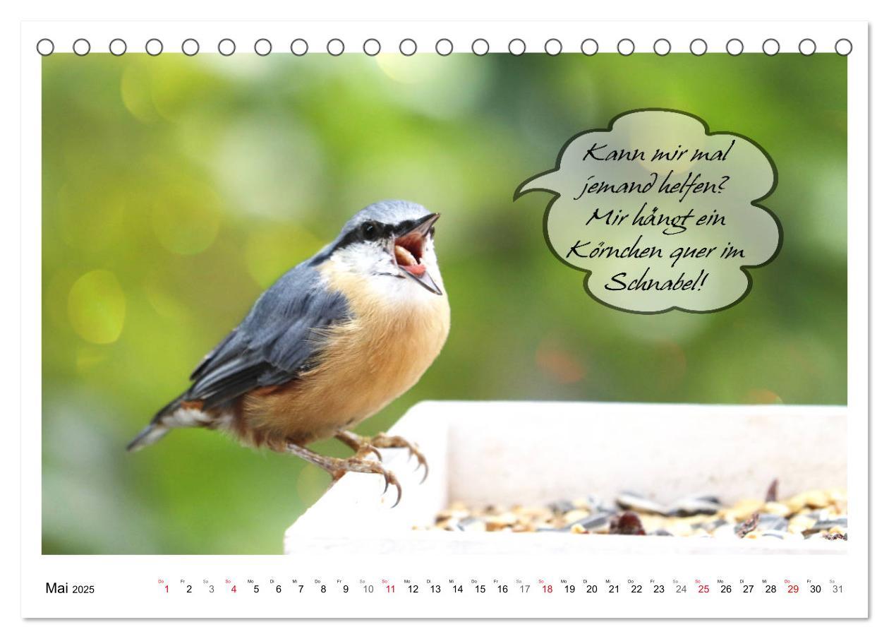 Bild: 9783435113446 | Vögel mit Humor (Tischkalender 2025 DIN A5 quer), CALVENDO...