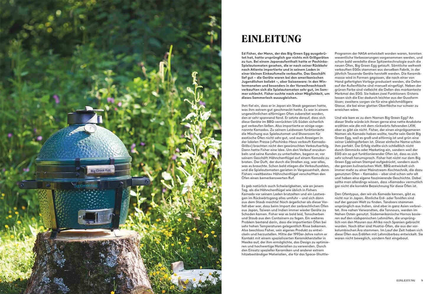 Bild: 9783831045365 | Kochen mit dem Big Green Egg | James Whetlor | Buch | 208 S. | Deutsch