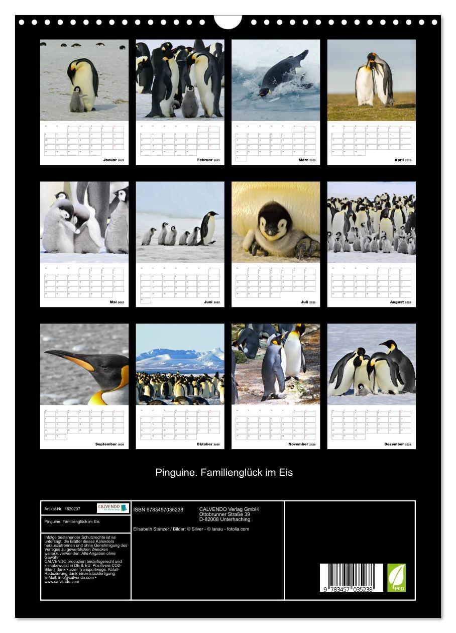 Bild: 9783457035238 | Pinguine. Familienglück im Eis (Wandkalender 2025 DIN A3 hoch),...