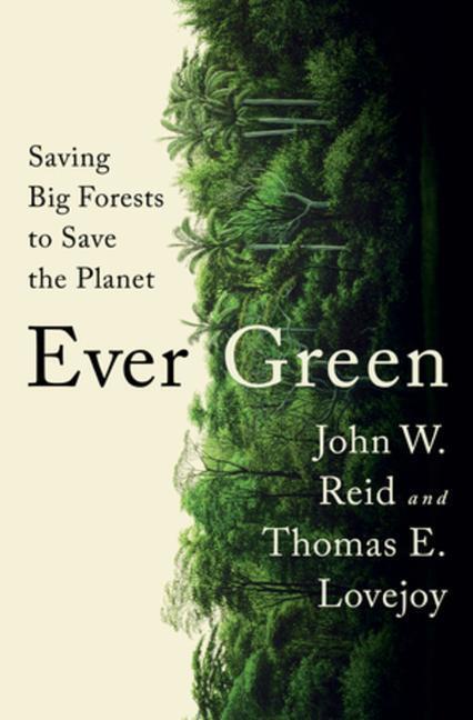 Cover: 9781324006039 | Ever Green | Saving Big Forests to Save the Planet | Reid (u. a.)