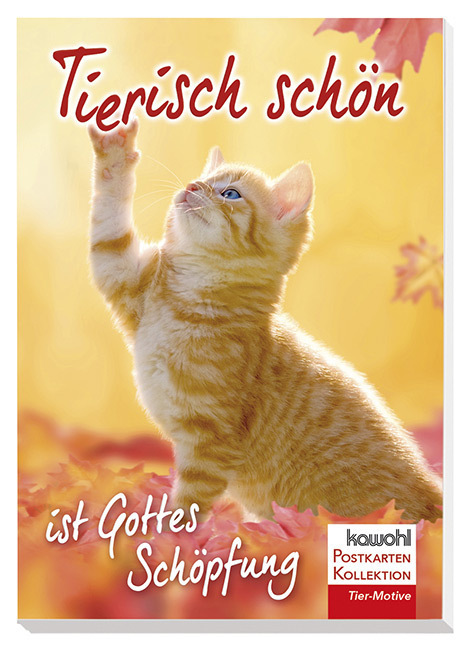 Cover: 9783863383435 | Tierisch schön ist Gottes Schöpfung | Stück | 16 S. | Deutsch | 2020