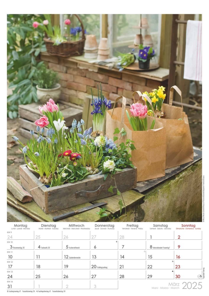 Bild: 4251732342036 | Landhaus 2025 - Bildkalender A3 (29,7x42 cm) - Country House - mit...