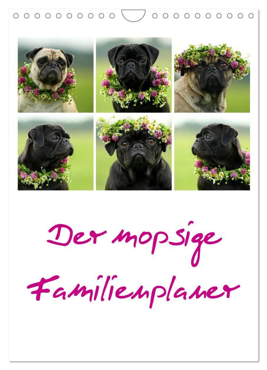 Cover: 9783457067796 | Der mopsige Familienplaner (Wandkalender 2025 DIN A4 hoch),...