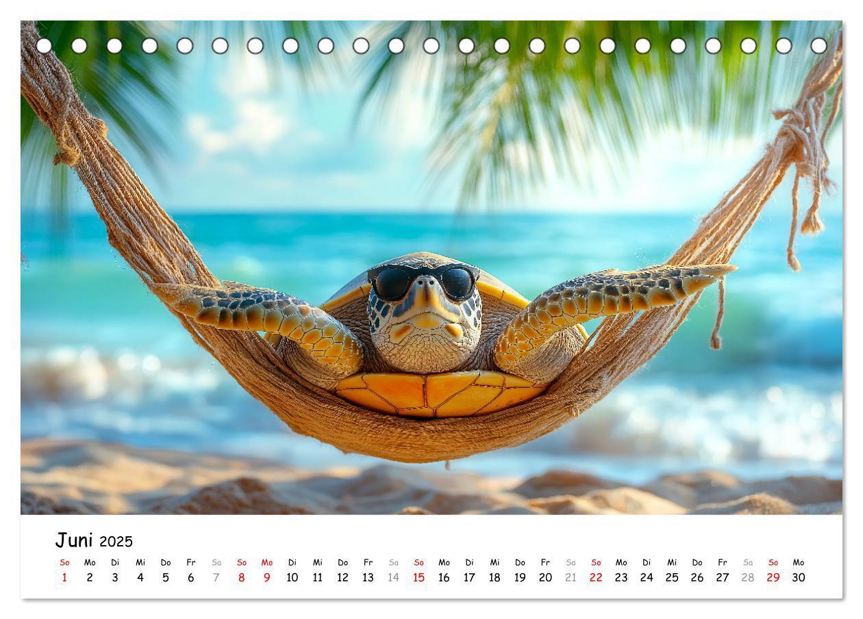 Bild: 9783457215890 | CHILL MAL - Entspannte Schildkröten beim Faulenzen (Tischkalender...