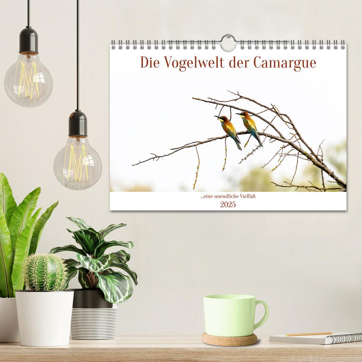 Bild: 9783383845499 | Die Vogelwelt der Camargue (Wandkalender 2025 DIN A4 quer),...