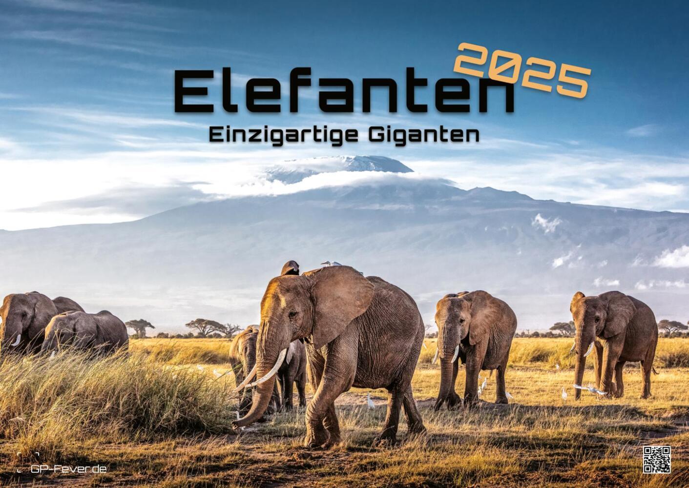 Cover: 9783986733926 | Elefanten - einzigartige Giganten - 2025 - Kalender DIN A2 | Kalender