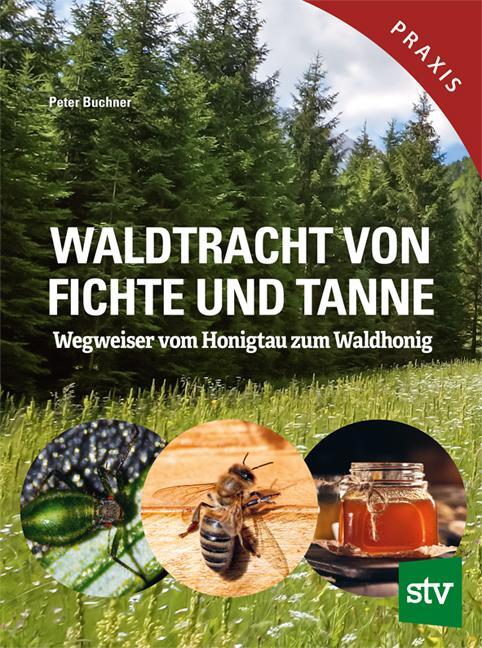 Cover: 9783702022594 | Waldtracht von Fichte und Tanne | Wegweiser vom Honigtau zum Waldhonig