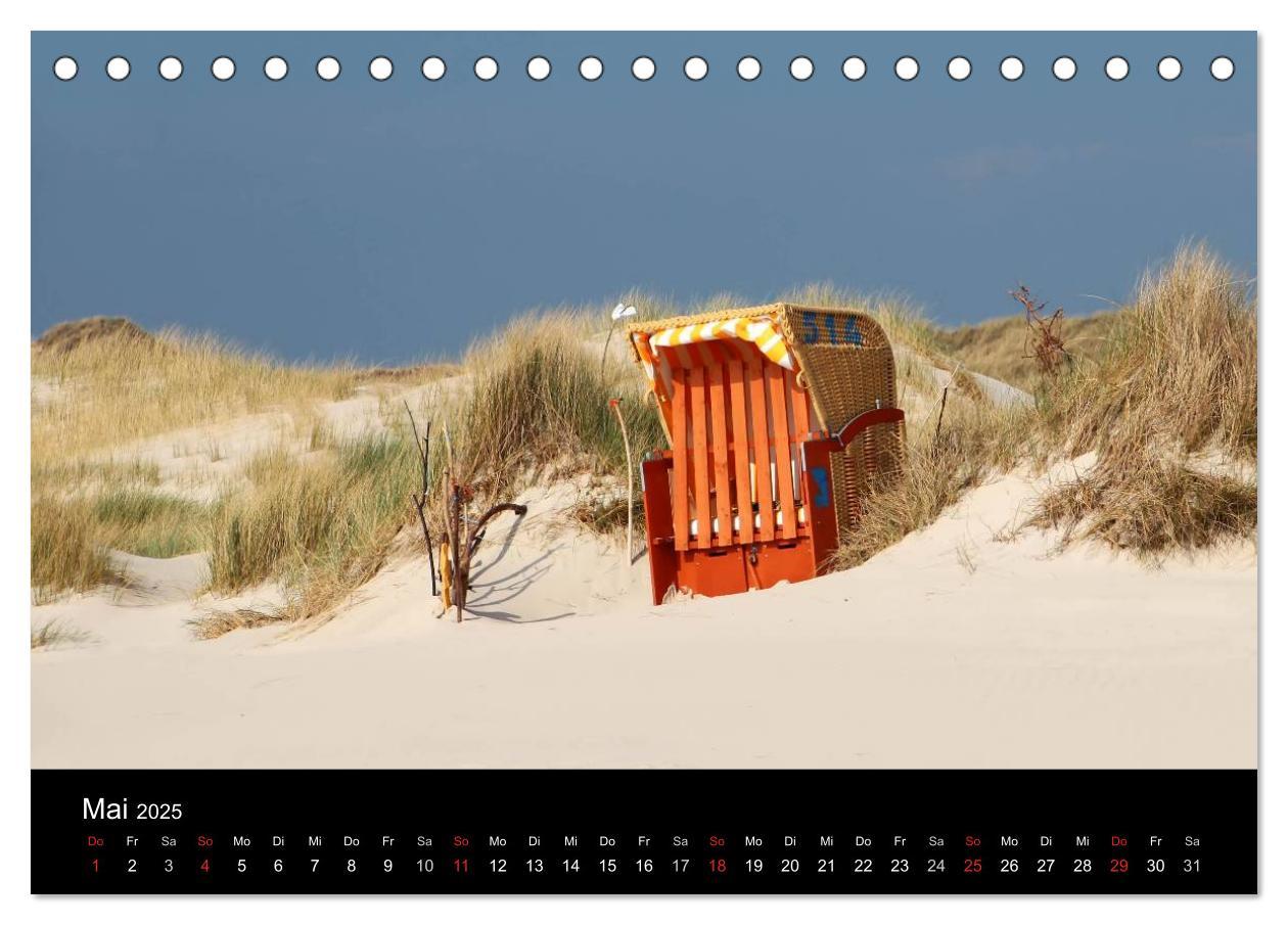 Bild: 9783435587667 | Amrum, Perle der Nordsee (Tischkalender 2025 DIN A5 quer), CALVENDO...