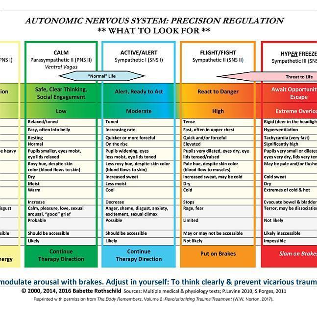 Cover: 9780393712803 | Autonomic Nervous System Table: Laminated Card | Babette Rothschild