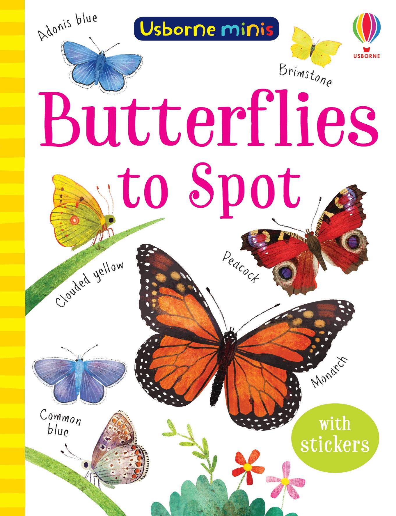 Cover: 9781474974998 | Butterflies to Spot | Kate Nolan | Taschenbuch | Englisch | 2021