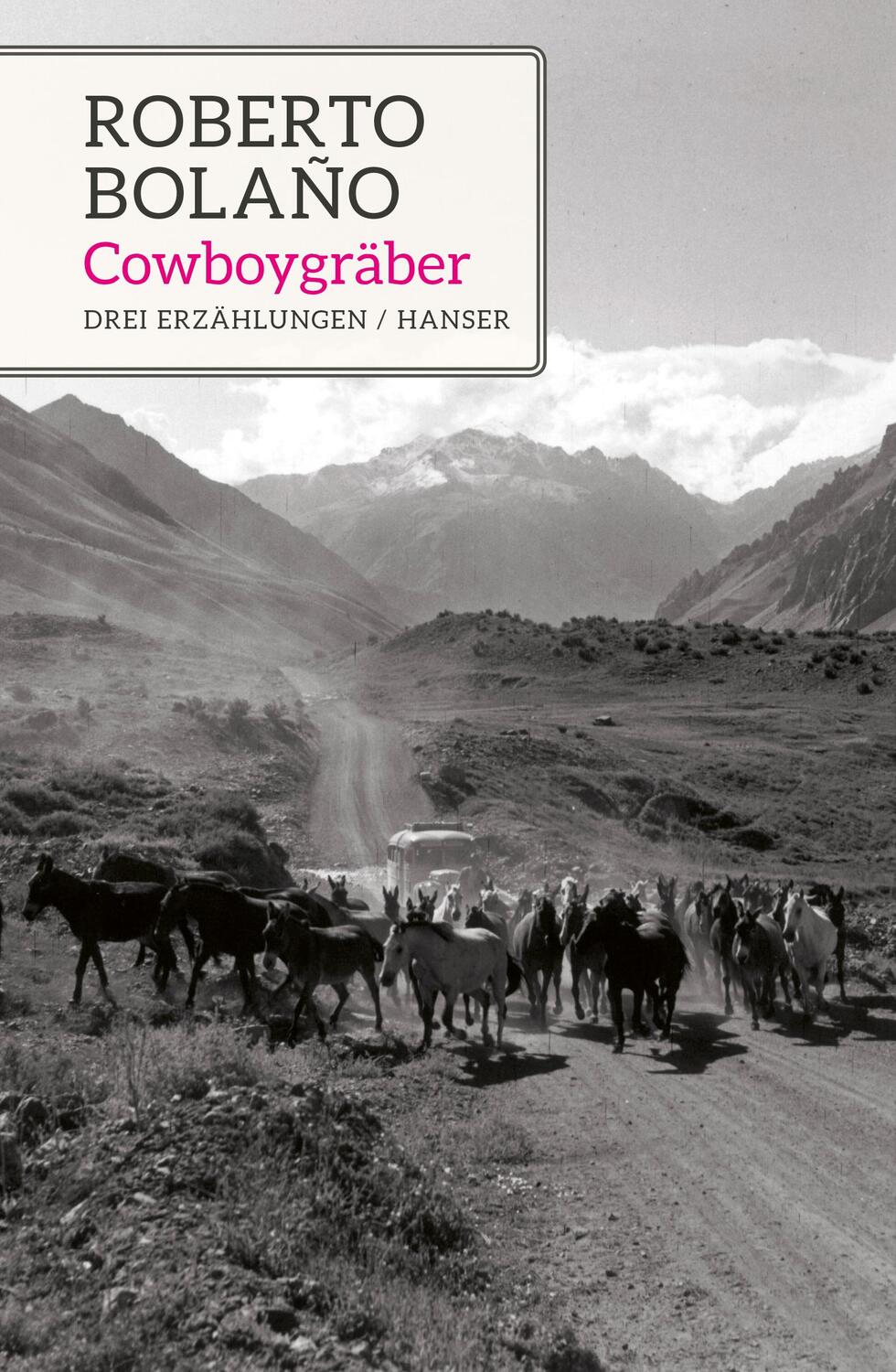 Cover: 9783446265578 | Cowboygräber | Drei Erzählungen | Roberto Bolaño | Buch | 192 S.