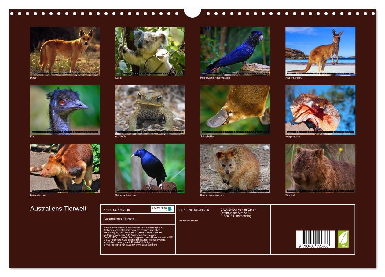 Bild: 9783435725786 | Australiens Tierwelt (Wandkalender 2025 DIN A3 quer), CALVENDO...