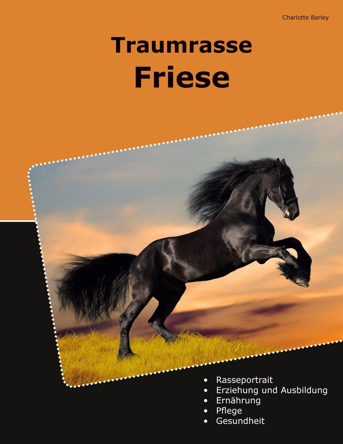 Cover: 9783759758392 | Traumrasse Friese | Charlotte Barley | Taschenbuch | Paperback | 2024