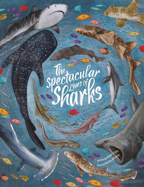 Cover: 9781914087479 | Spectacular Lives of Sharks | Annabel Griffin | Buch | Gebunden | 2022